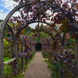 Moseley Old Hall grounds